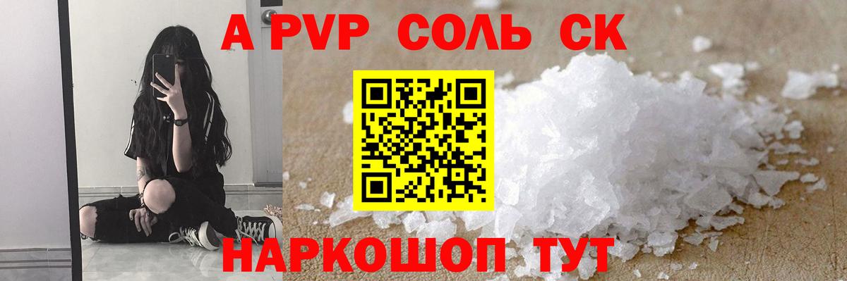 Alfa_PVP СК КРИС Владимир